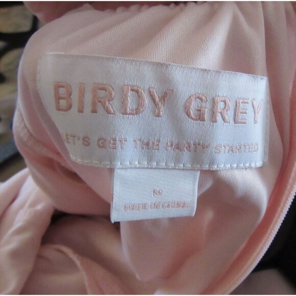 Birdy Grey Let's Get this Party Started Doris Pale Pink Gown Size M - Picture 9 of 9